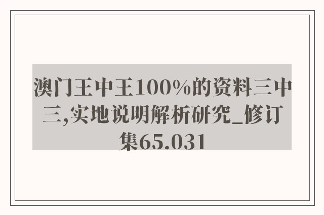 澳门王中王100%的资料三中三,实地说明解析研究_修订集65.031